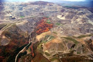Mountain Top Removal destroying large parts of North America most important broadleaf deciduous forests 