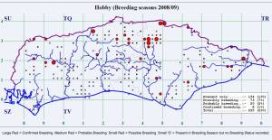 Sussex breeding sites for Eurasian Hobby