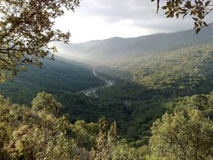 Los Alcornocales Natural Park - the last European Jungle