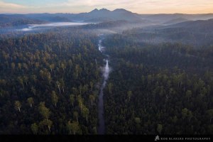 Australia's largest temperate rainforest at risk from mining and logging/Photo Rob Blakers