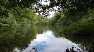 Wealden Broadleaf Forest, Nymans